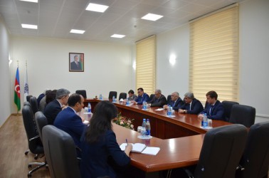 Международные наблюдатели