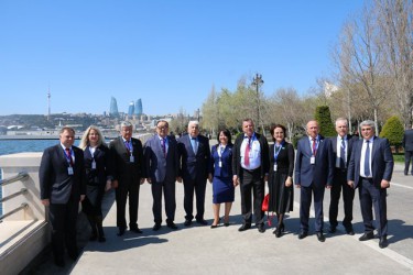 Международные наблюдатели
