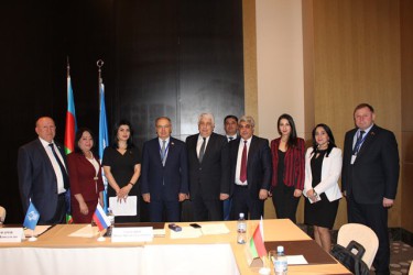Международные наблюдатели