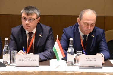 В составе мониторинговой группы МПА СНГ в Азербайджане работают представители шести стран Содружества