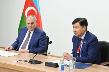 Международные наблюдатели от Межпарламентской Ассамблеи государств – участников Содружества Независимых Государств провели встречу в партии «Новый Азербайджан»