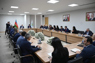 Международные наблюдатели от Межпарламентской Ассамблеи государств – участников Содружества Независимых Государств провели встречу в партии «Новый Азербайджан»