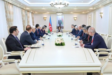 В Милли Меджлис прошла встреча с международными наблюдателями от МПА СНГ