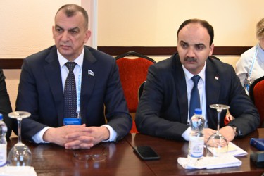 Наблюдатели от МПА СНГ провели в Минске встречи с руководством участвующих в парламентских выборах партий