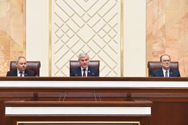 Наблюдатели от МПА СНГ встретились с Владимиром Андрейченко