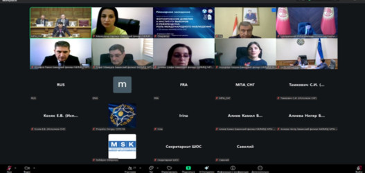 Директор Бакинского филиала МИМРД МПА СНГ принял участие в пленарном заседании, посвященном 20-летию Международного института мониторинга развития демократии МПА СНГ