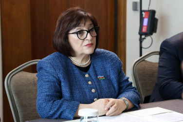 В Стамбуле состоялась встреча Валентины Матвиенко и Сагибы Гафаровой